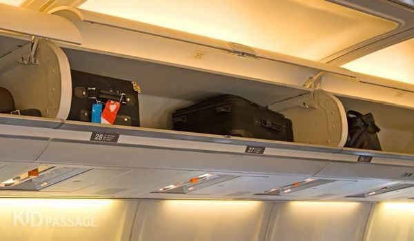 О правилах провоза багажа в авиакомпании Aegean Airlines О правилах провоза багажа в авиакомпании Aegean Airlines