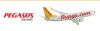 Pegasus Airlines Inc.
